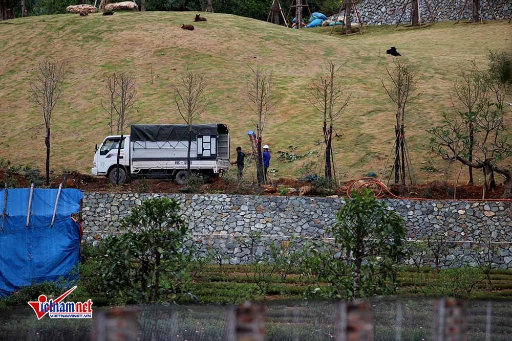 Biệt thự nguy nga mọc trên đất rừng phòng hộ Sóc Sơn-4