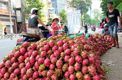 Nỗi đau: Khi hàng Việt triệt tiêu trên kệ hàng siêu thị Việt-2