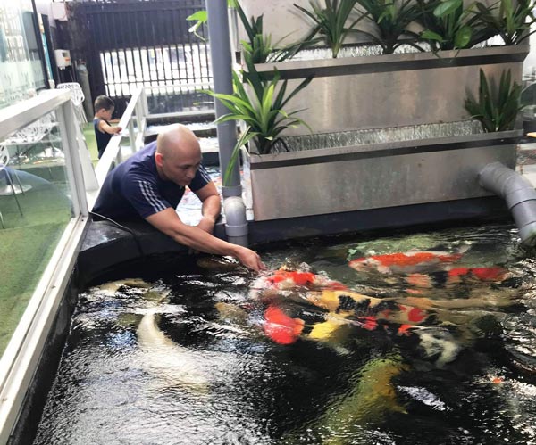 Hơn 300 chú cá quốc ngư xứ Mặt Trời mọc đẹp mê hồn của trai phố núi-3