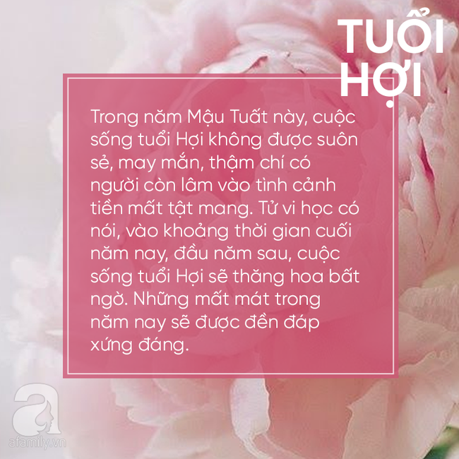 Vào thời khắc chuyển giao giữa 2018-2019, 3 con giáp này khổ tận cam lai, làm gì cũng may mắn phát tài, phú quý trong tầm tay-3