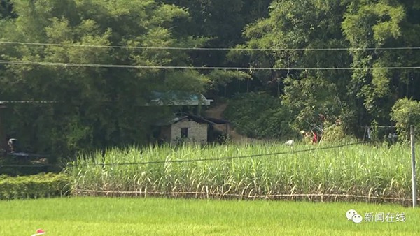 Đau lòng phát hiện thi thể bé gái 10 tuổi bị chôn dưới đám cỏ, hung thủ lại là người không ai ngờ tới-3