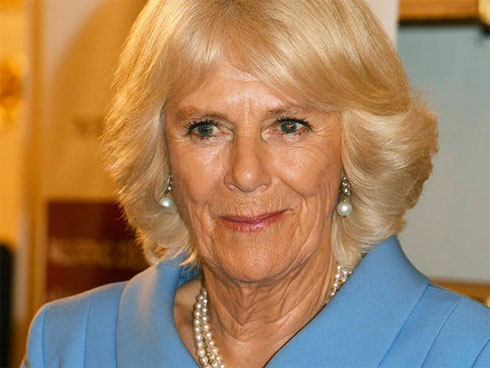 Camilla lại làm dậy sóng dư luận với màn mặc cả tiền tỷ để chấm dứt cuộc hôn nhân 13 năm với Thái tử Charles-3