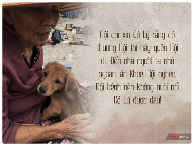 Bà lão trong bức ảnh ôm hôn tạm biệt cậu Vàng: Tui sợ mình chết nên bán nó cho nhà giàu chăm, ai ngờ nửa đêm nó tìm về...-1