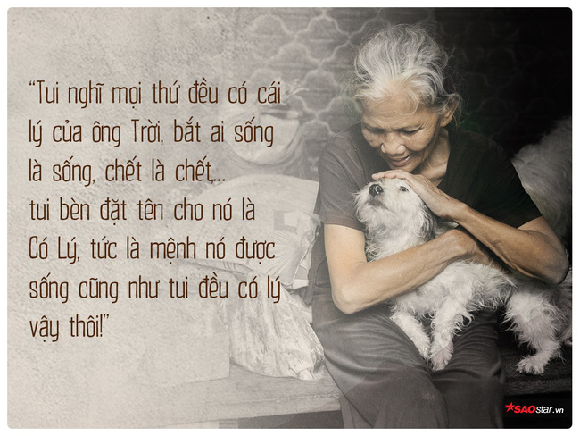 Bà lão trong bức ảnh ôm hôn tạm biệt cậu Vàng: Tui sợ mình chết nên bán nó cho nhà giàu chăm, ai ngờ nửa đêm nó tìm về...-13