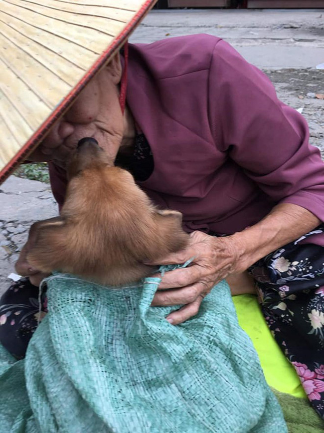 Bà lão trong bức ảnh ôm hôn tạm biệt cậu Vàng: Tui sợ mình chết nên bán nó cho nhà giàu chăm, ai ngờ nửa đêm nó tìm về...-4