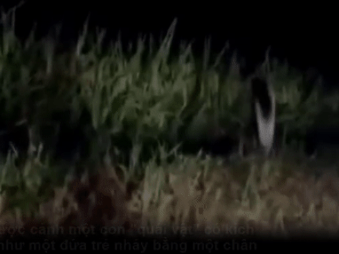 Bí ẩn 