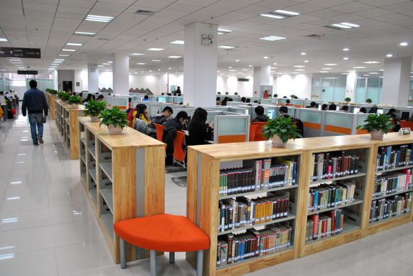 Mê mệt với vẻ đẹp tựa tranh vẽ của ngôi trường được mệnh danh là Đại học hoa anh đào ở Trung Quốc-8