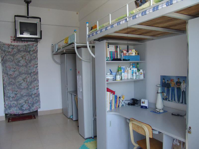 Mê mệt với vẻ đẹp tựa tranh vẽ của ngôi trường được mệnh danh là Đại học hoa anh đào ở Trung Quốc-9