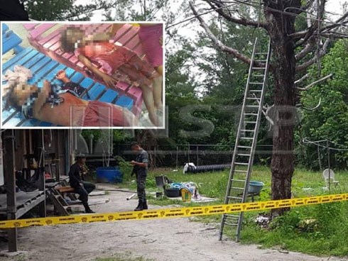 Nghe lời cầu cứu của người đàn ông toàn thân đầy máu, cảnh sát đến chứng kiến cảnh tượng kinh hoàng với 4 đứa trẻ