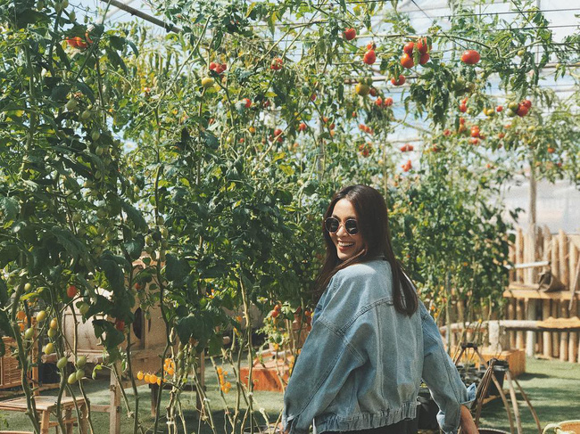 Theo chân Tăng Thanh Hà và hội bạn thân khám phá Đà Lạt thơ mộng, ngập tràn hơi thở hiện đại-15