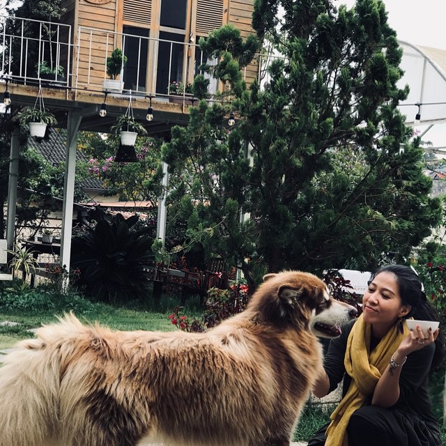 Theo chân Tăng Thanh Hà và hội bạn thân khám phá Đà Lạt thơ mộng, ngập tràn hơi thở hiện đại-20