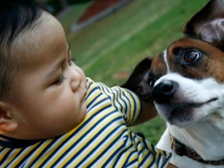 Cho con sang hàng xóm chơi, cha mẹ chẳng ngờ vài ngày sau phải đưa con nhập viện