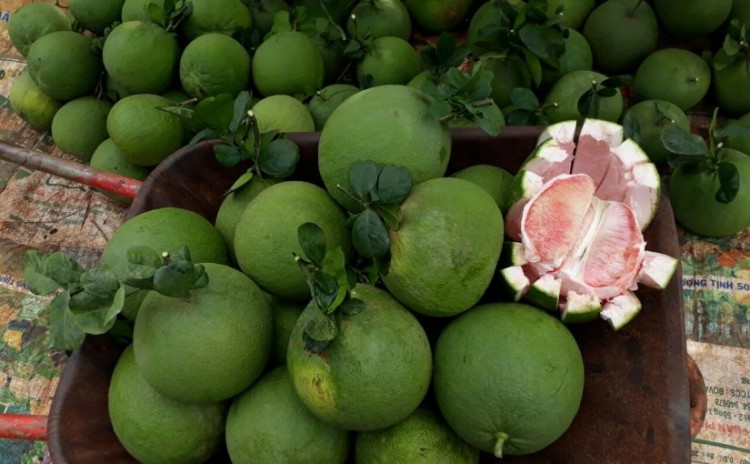 Đầu tuần trước mới 55kg, cuối tuần sau còn 50kg với công thức từ quả bưởi luộc-1