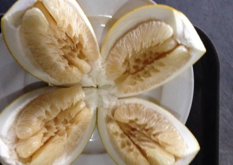 Đầu tuần trước mới 55kg, cuối tuần sau còn 50kg với công thức từ quả bưởi luộc-3