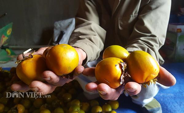 Cãi vợ đổi nhà lấy đồi rậm rạp, lão gàn vùng biên giờ sống khỏe re-3