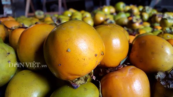 Cãi vợ đổi nhà lấy đồi rậm rạp, lão gàn vùng biên giờ sống khỏe re-6