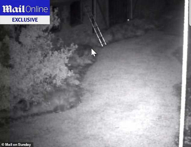 Sốc: Victoria suy sụp còn David Beckham giận dữ khi phát hiện nhóm tội phạm bịt mặt đột nhập biệt thự-3