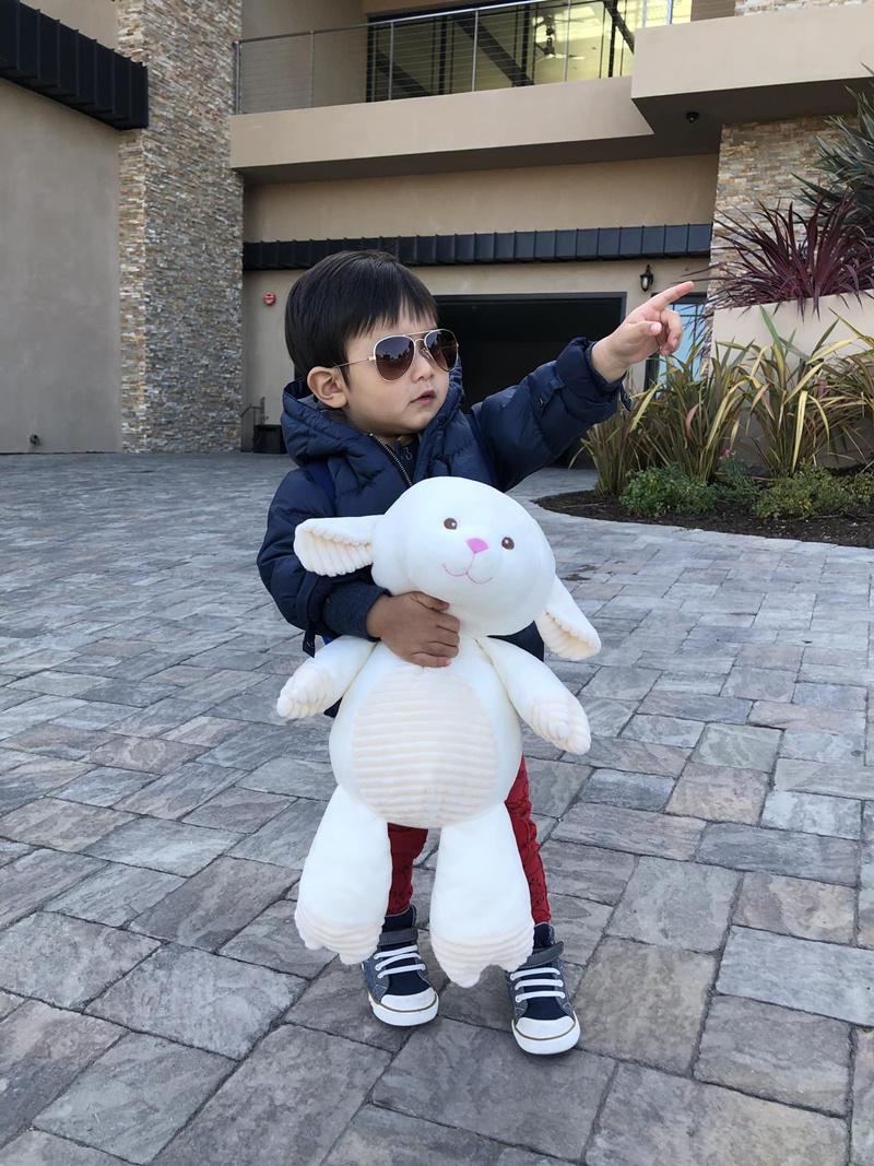 Phát sốt với loạt ảnh con trai Đan Trường ôm gấu, đeo cặp đi chơi: Mệt là lăn ra đất-5