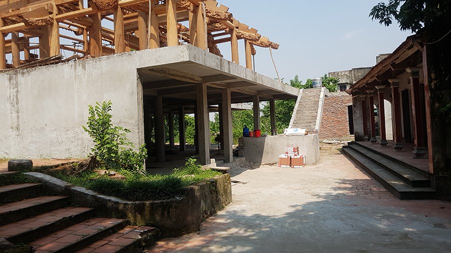 Ly kỳ cuộc chiến bảo vệ những gốc cây trị giá cả trăm tỷ đồng của các lão nông Việt-5