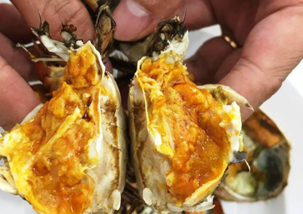 Cận cảnh loài cua lông Hong Kong tiền triệu cực đắt hút khách Việt-8