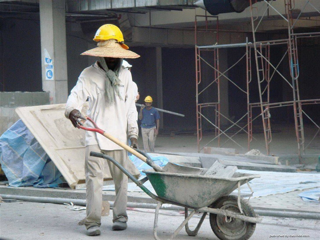 Hành động không giống ai của hội những con người lầy lội-3