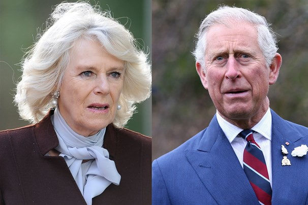 Người hâm mộ chấn động trước tin con trai chung bí mật giữa Thái tử Charles và bà Camilla đòi nhận lại cha mẹ-2