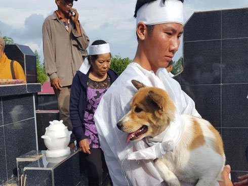 Chú chó được cưng chiều nhất MXH hôm nay: Cùng chủ chạy nước lũ nhưng nhất quyết phải được cõng trên lưng mới chịu-3