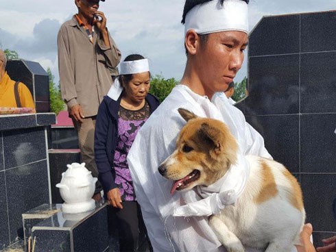 Câu chuyện uất hận về chú chó đang để tang bà chủ thì bị 