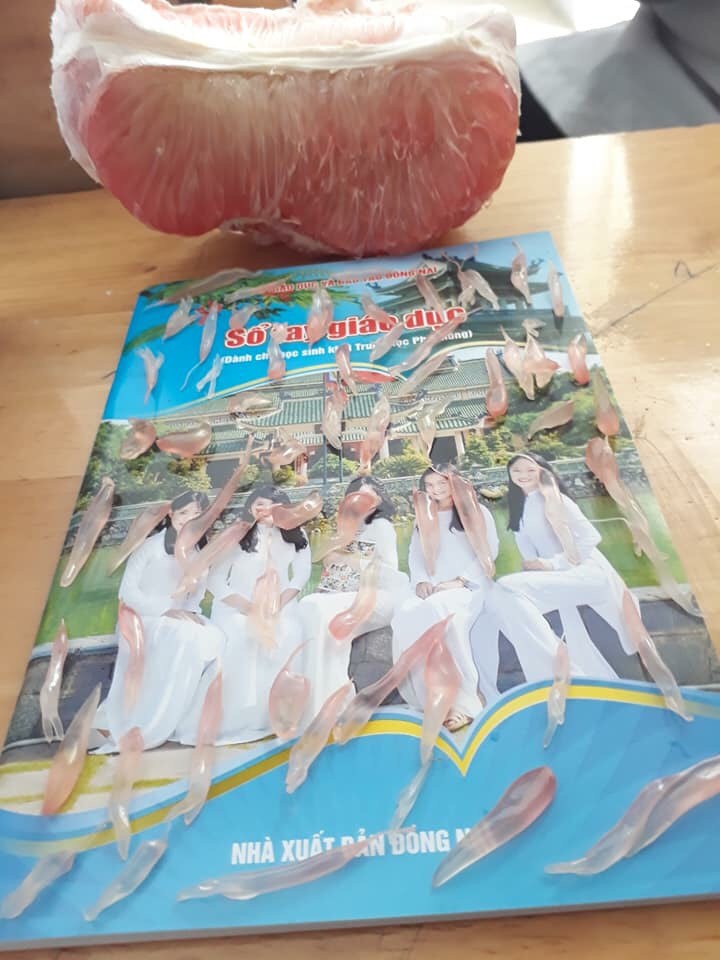 Chưa đến cuối tháng mà sinh viên đã đua nhau khoe những bữa cơm chan nước mắt, thiếu thốn đủ thứ-4