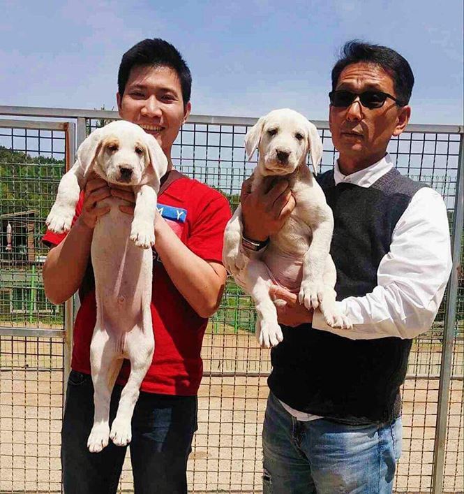 Thú chơi siêu khuyển khổng lồ của người Hà Nội-3