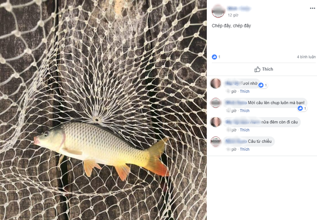 Đăng ảnh dưa chua đòi góp cá, cô nàng được tận tình giúp đỡ từ bữa ăn tới vào toa-lét-2