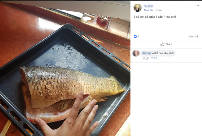 Đăng ảnh dưa chua đòi góp cá, cô nàng được tận tình giúp đỡ từ bữa ăn tới vào toa-lét-3