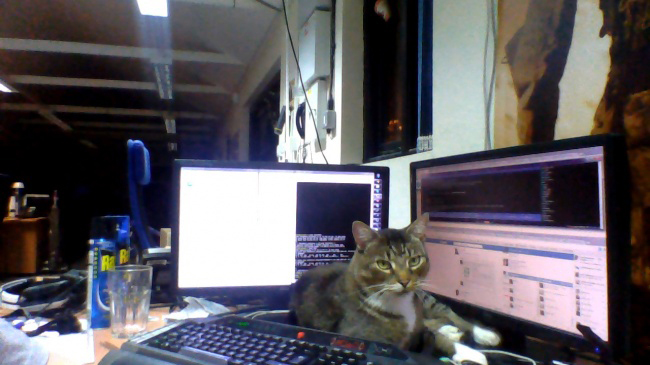 Dân công sở đôi lúc cũng vui nhộn để quên đi mệt mỏi-10