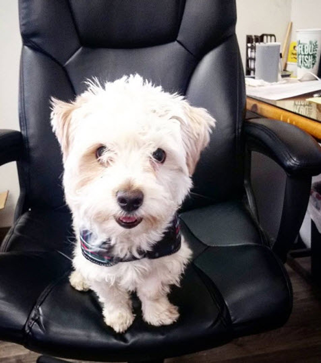 Dân công sở đôi lúc cũng vui nhộn để quên đi mệt mỏi-5