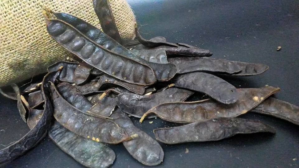 Nam Phương hoàng hậu đẹp cỡ nào mà từng khiến vua Bảo Đại phải giải tán cả hậu cung?-8