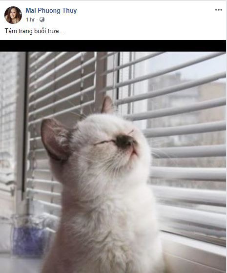 Sau nghi án hẹn hò, Noo Phước Thịnh và Mai Phương Thúy liên tục công khai thả thính nhau trên mạng xã hội-3