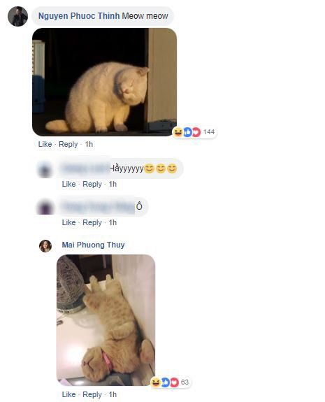 Sau nghi án hẹn hò, Noo Phước Thịnh và Mai Phương Thúy liên tục công khai thả thính nhau trên mạng xã hội-4