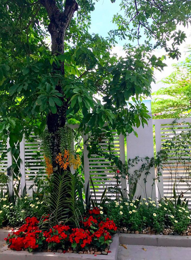 Biệt thự 21 tỷ đẹp hoàn hảo sau khi được tu sửa lại của vợ chồng MC Quyền Linh-5