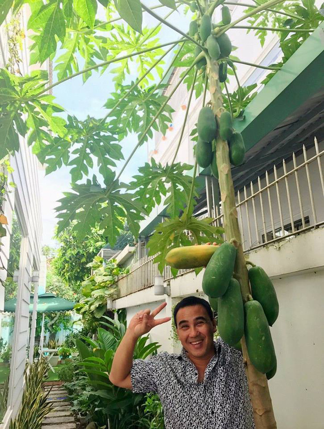 Biệt thự 21 tỷ đẹp hoàn hảo sau khi được tu sửa lại của vợ chồng MC Quyền Linh-12