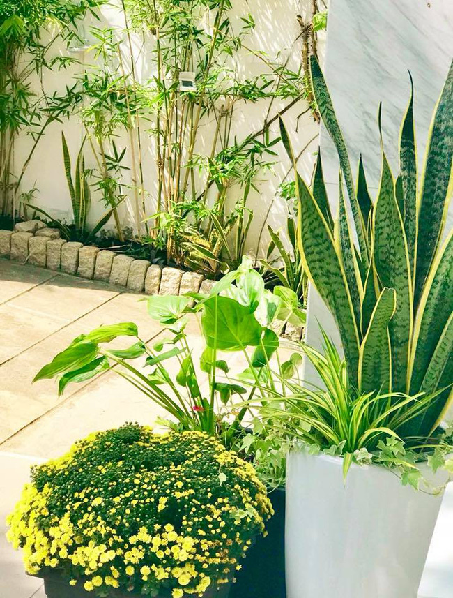 Biệt thự 21 tỷ đẹp hoàn hảo sau khi được tu sửa lại của vợ chồng MC Quyền Linh-2