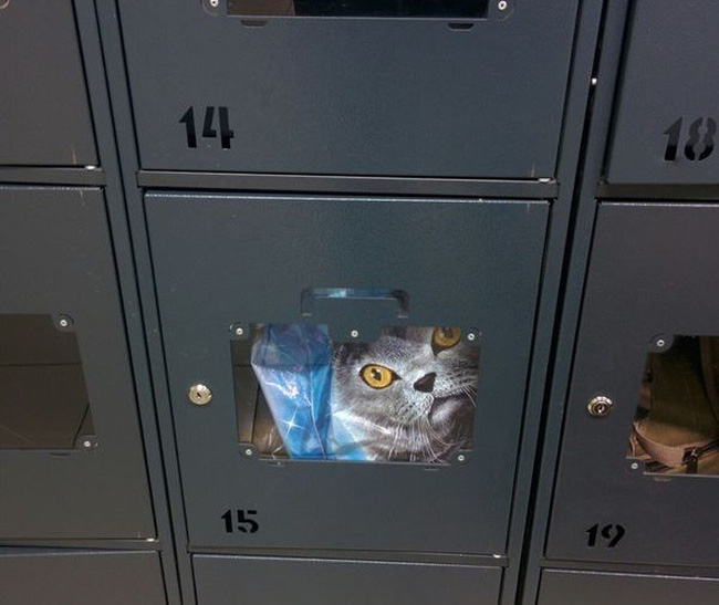 Những hình ảnh hack thị giác khiến bạn nhìn đi nhìn lại vẫn không tin vào mắt mình-1