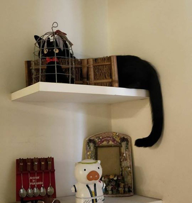 Những hình ảnh hack thị giác khiến bạn nhìn đi nhìn lại vẫn không tin vào mắt mình-12