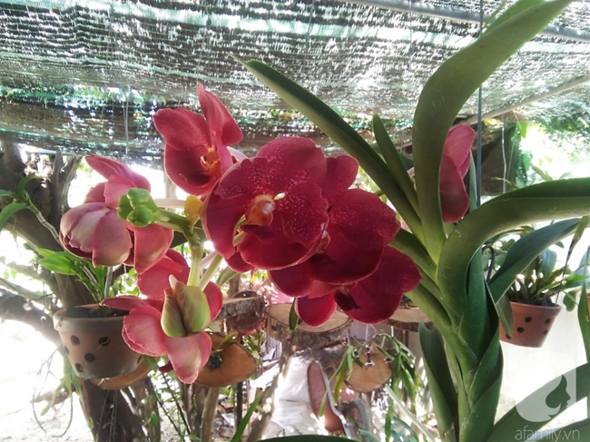 Thầy giáo trẻ phát hiện bị ung thư lưỡi trước đám cưới chỉ 20 ngày: Dấu hiệu nhận biết bệnh dễ bị bỏ qua-6