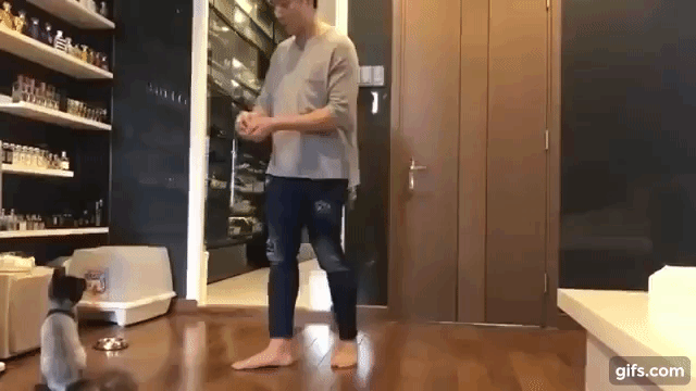 Clip: Trấn Thành tiếp tục cho mèo cưng lên sóng bằng màn huấn luyện tại gia ví như xiếc thú chuyên nghiệp-1