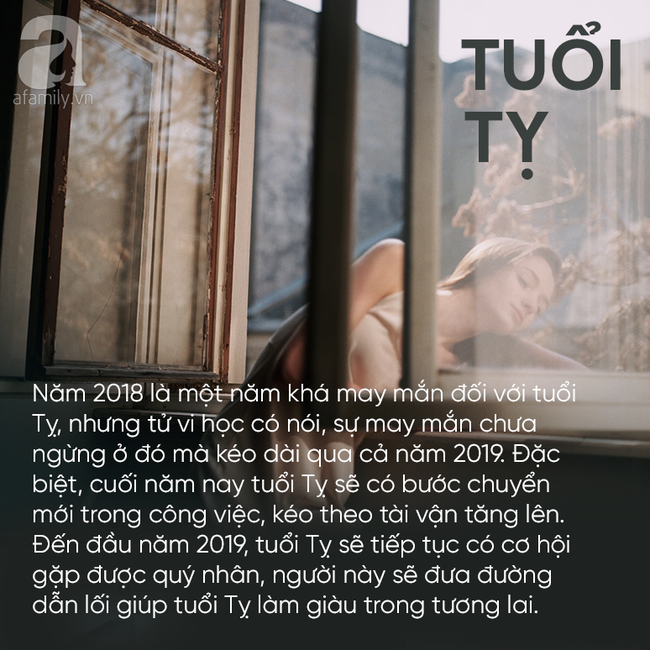 Trước Tết 2019, 3 con giáp này sẽ gặp được cơ hội trăm năm có 1, tài vận không những dồi dào mà cuộc sống thăng hoa bất ngờ-3