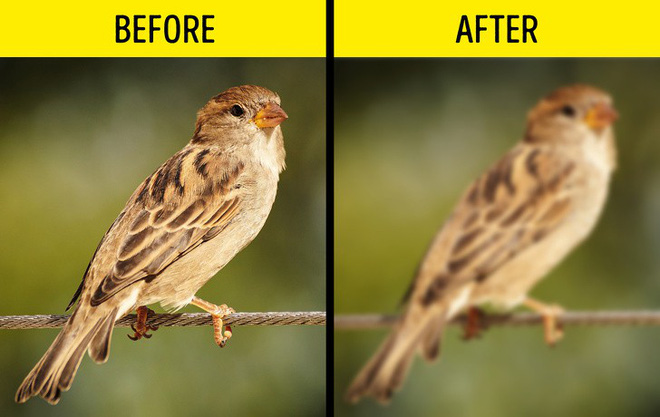 6 dấu hiệu cảnh báo một cơn đột quỵ sắp xảy ra: Hãy nắm rõ cách xử trí đột quỵ này-3