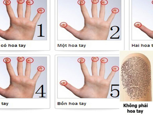 Trên ngón tay có những vân này thì nghèo khổ cách mấy cũng có ngày phát tài, hậu vận được hưởng vinh hoa phú quý không ai sánh bằng-4