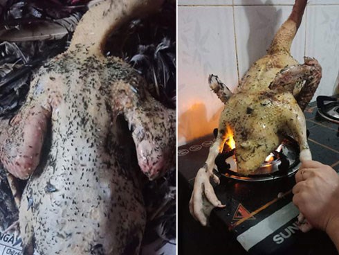 Bà nội trợ nhờ chỉ cách làm lông vịt cho sạch, chị em xui