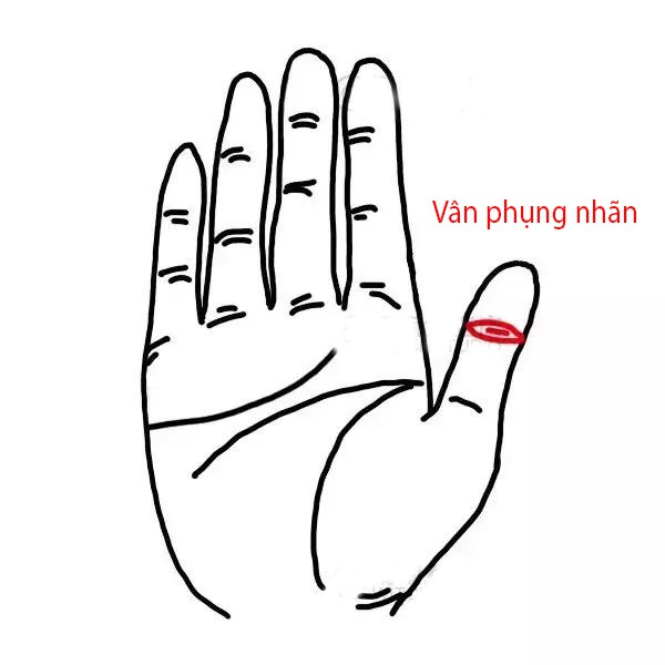 Trên ngón tay có những vân này thì nghèo khổ cách mấy cũng có ngày phát tài, hậu vận được hưởng vinh hoa phú quý không ai sánh bằng-3