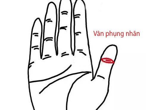 3 con giáp được Thần Tài chọn mặt gửi vàng, giàu có bất chấp, tiền đổ về bất tận trong 2 tuần tới-4